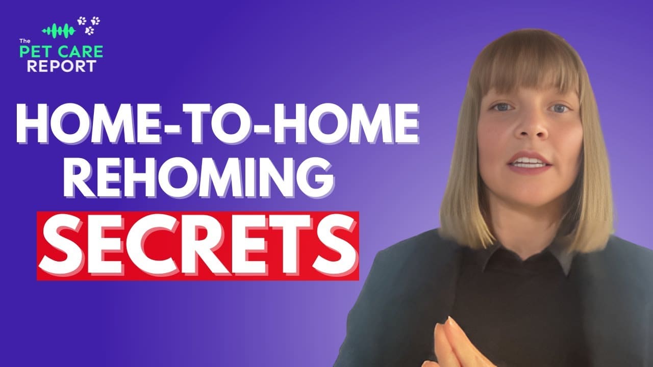 Dog Adoption and Understanding Your Pet’s History with Home-to-Home ...