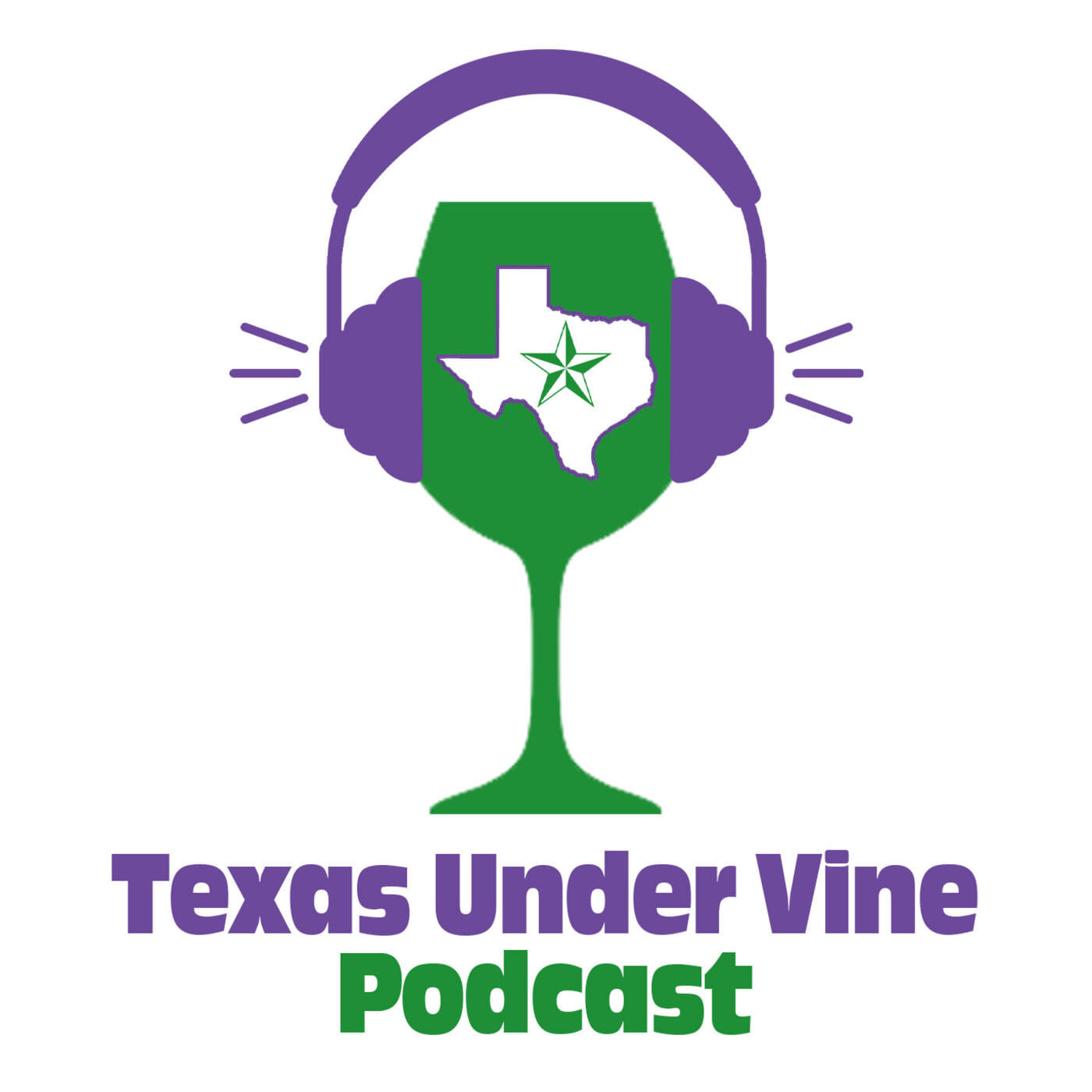 A journey through the best of Texas wine country!